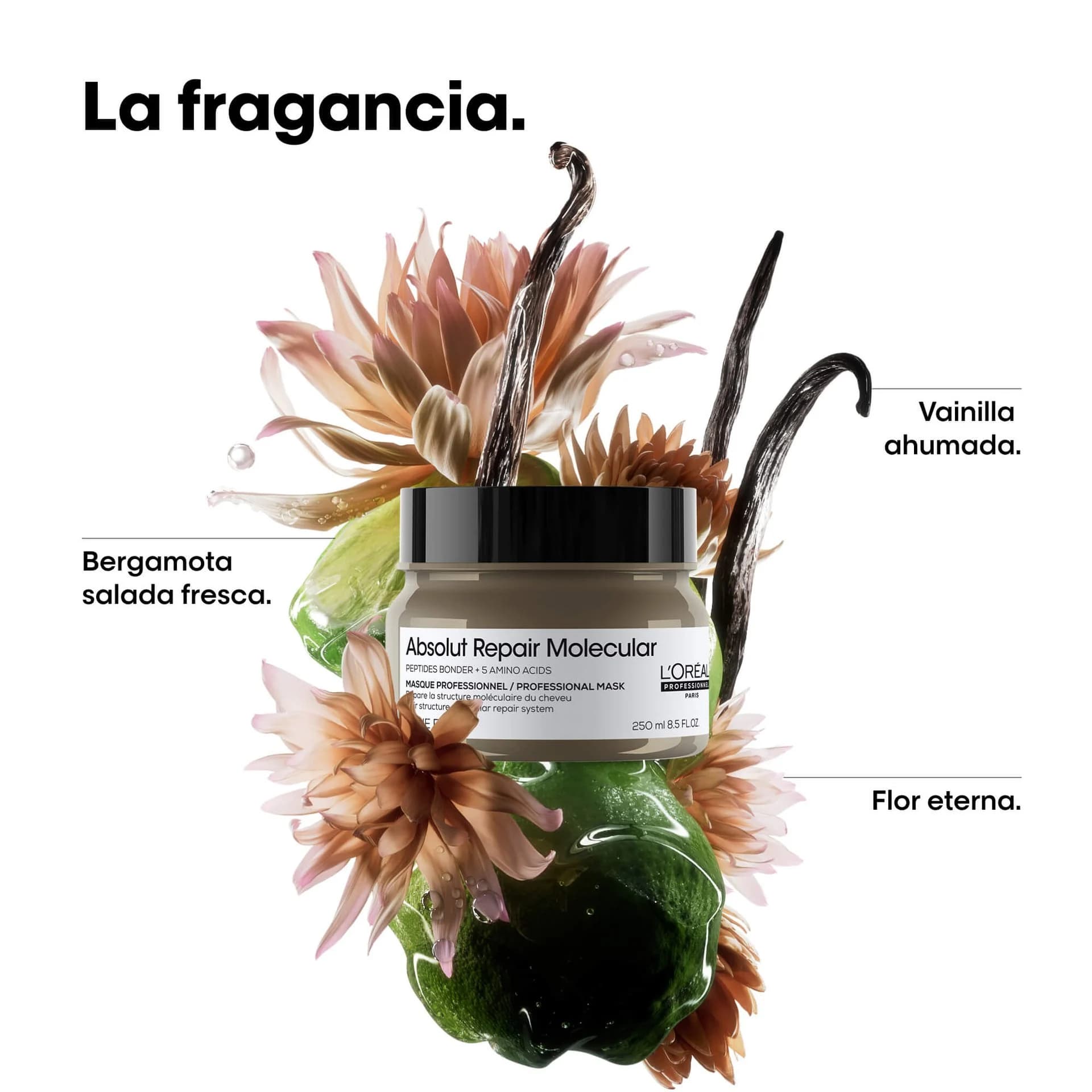Máscara Profesional Absolut Repair Molecular